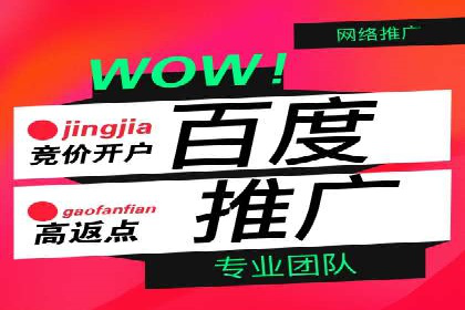 SEM托管服务，成功案例展示转化优势